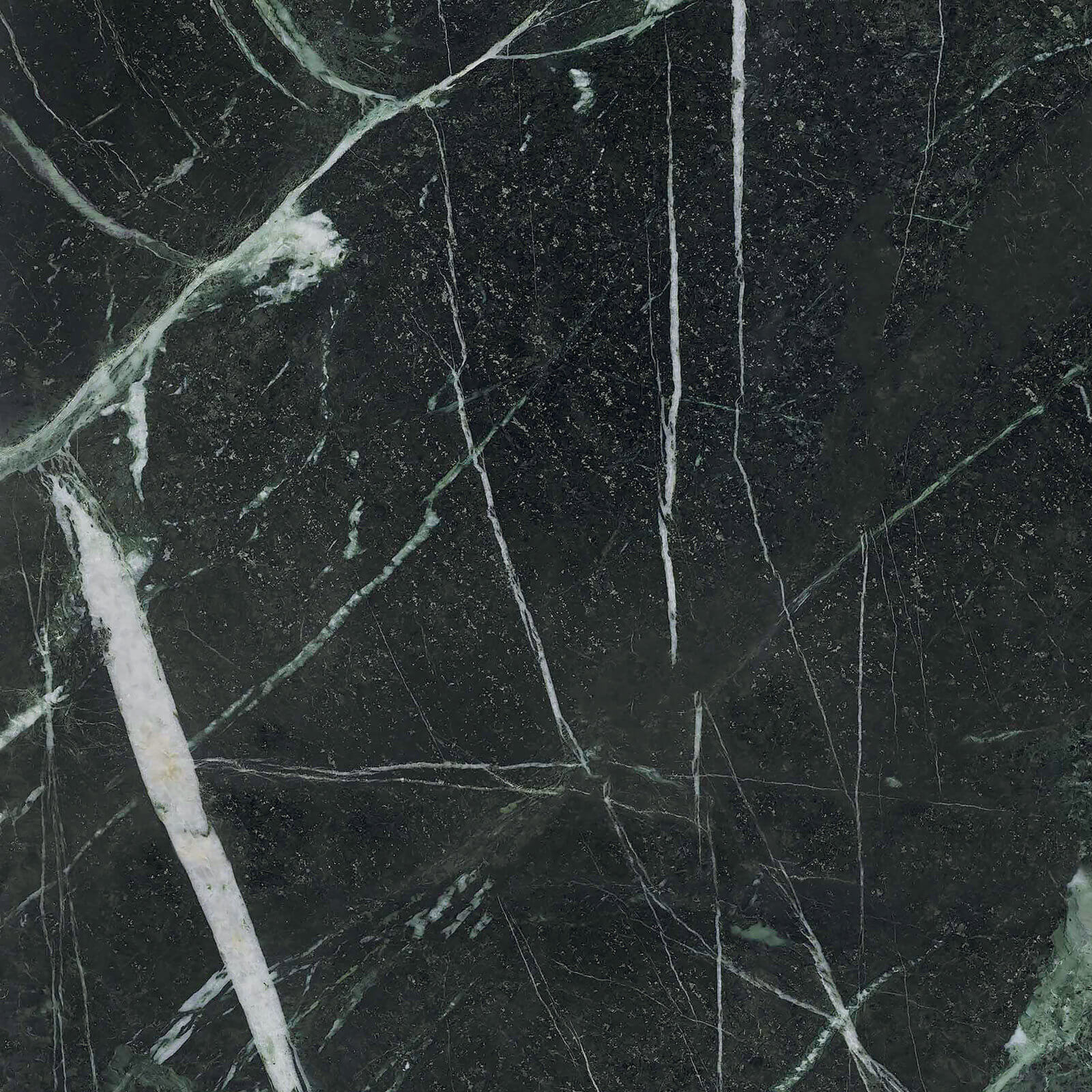 Керамогранит Ariana Ceramica Epoque 21 Veria Green Ant R, 60x60, под мрамор, чёрный, лаппатированный