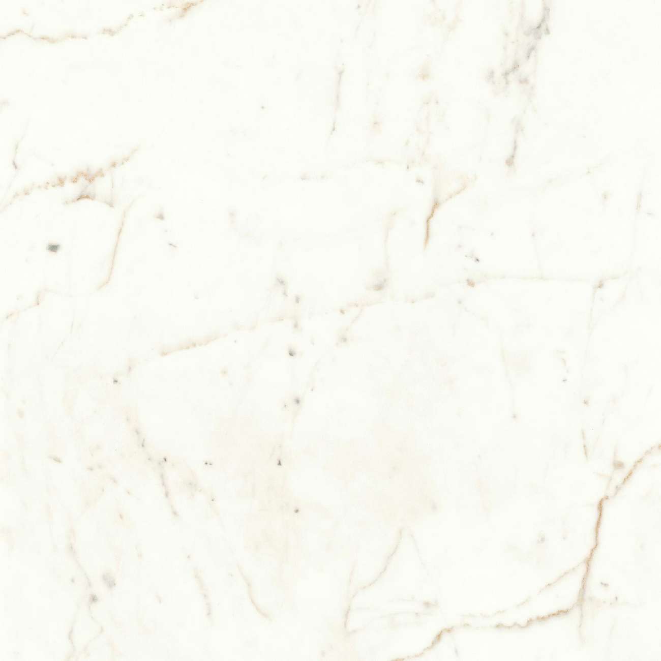 Керамогранит Atlas Concorde Marvel Shine Calacatta Prestigio  Lappato, 60x60, под мрамор, белый, лаппатированный