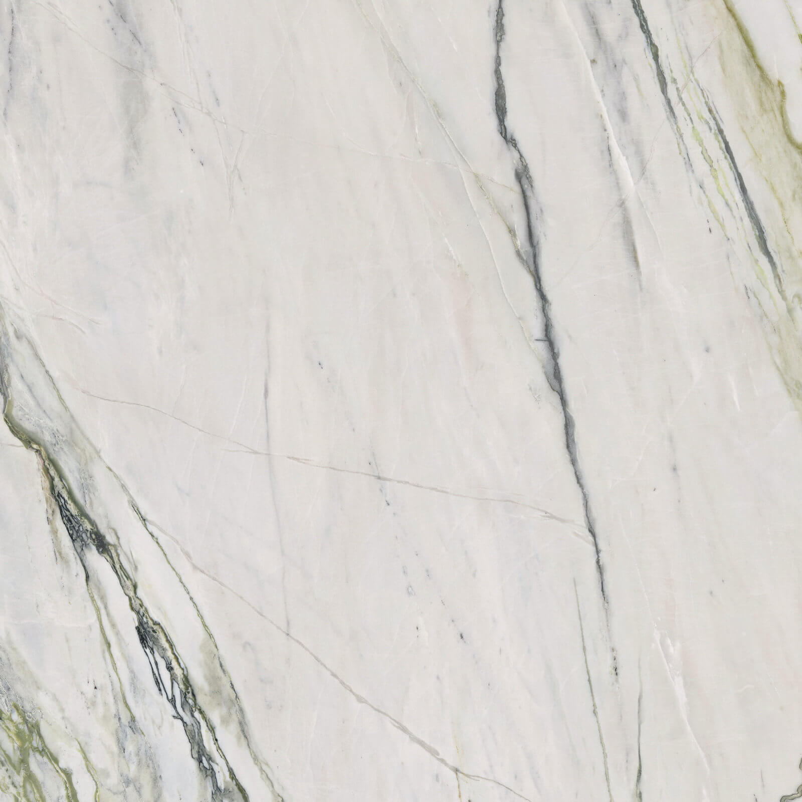 Керамогранит Ariana Ceramica Epoque 21 Calacatta Bamboo Ant R, 60x60, под мрамор, белый, лаппатированный