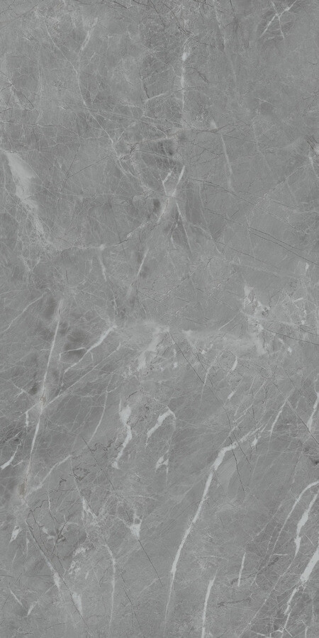 Керамогранит Neodom Belvedere Eva Gris Polished, 60x120, под камень, серый, полированный