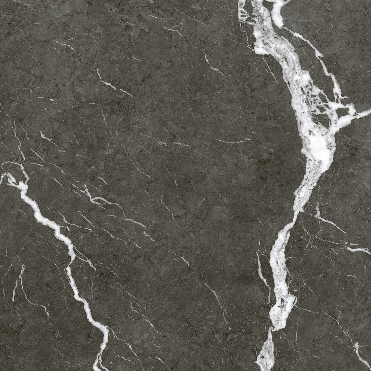 Керамогранит Coliseum Gres Michelangelo Дарк, 60x60, под мрамор, чёрный, матовый