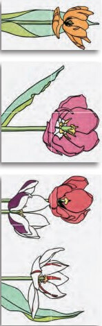 Декор Bardelli Tuli-tuli 1A, 20x20, флора, мультиколор, глянцевый