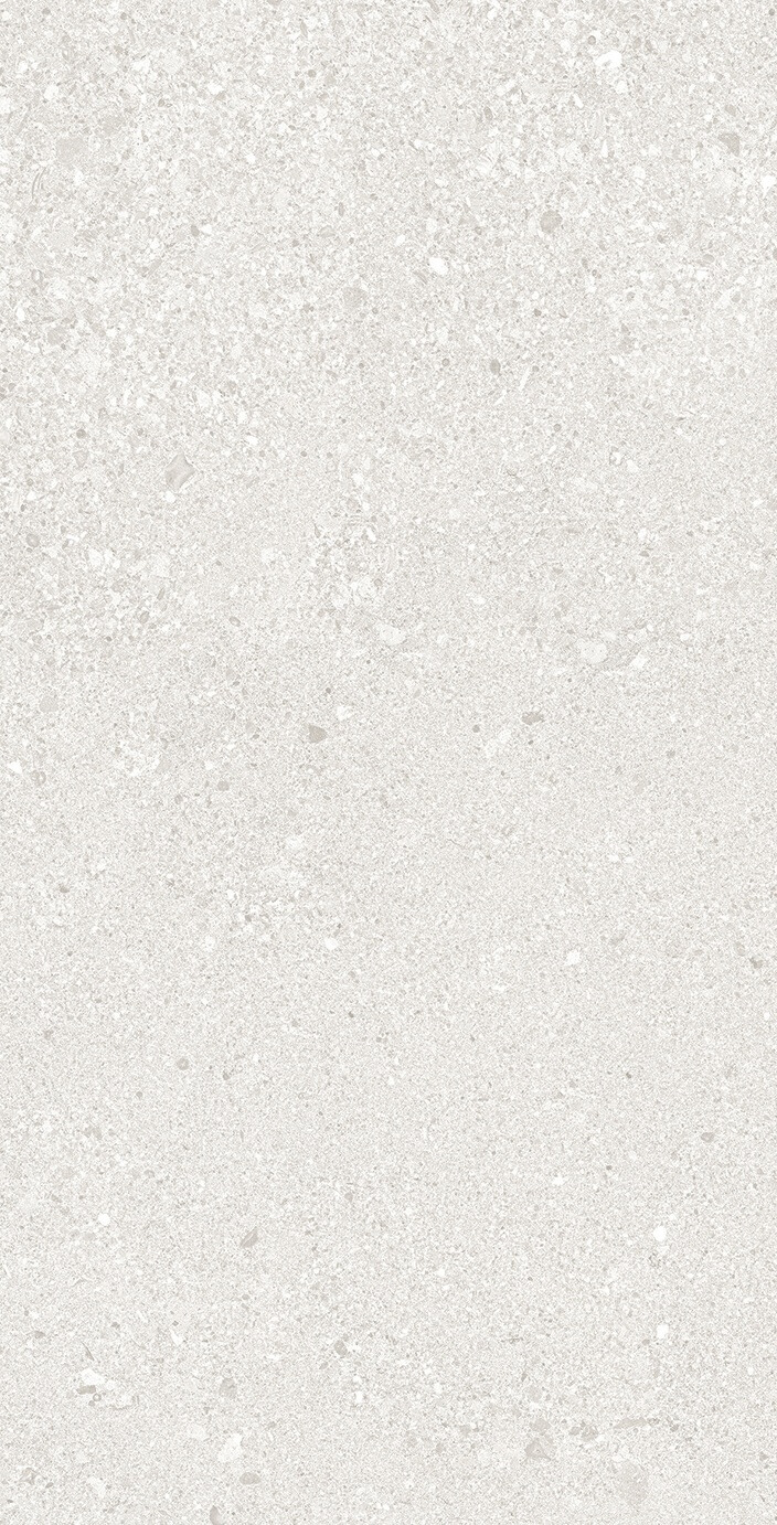 Керамогранит Ergon Grain Stone Rough Grain White Nat., 120x240, соль-перец, белый, матовый