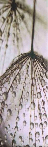 Декор Ceramika Color Luna Bis С, 25x75, под обои, мультиколор, глянцевый