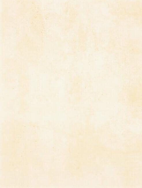 Настенная плитка Rako Patina WATKB230, 25x33, под бетон, бежевая, матовая