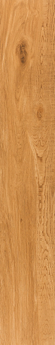 Керамогранит Tau Ceramica Ragusa Camel, 20x120, под дерево, бежевый, матовый