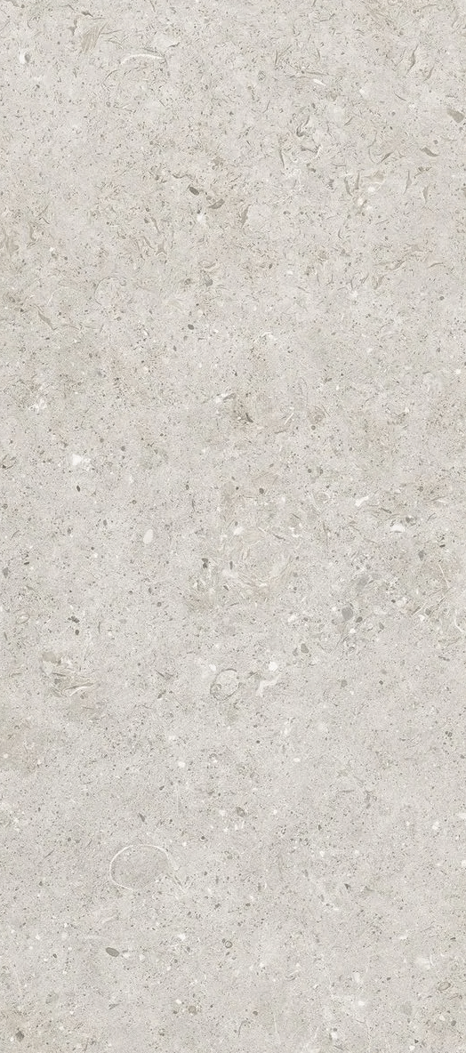 Керамогранит Living Ceramics Bera&Beren Light Grey Natural, 120x270, под бетон, серый, матовый