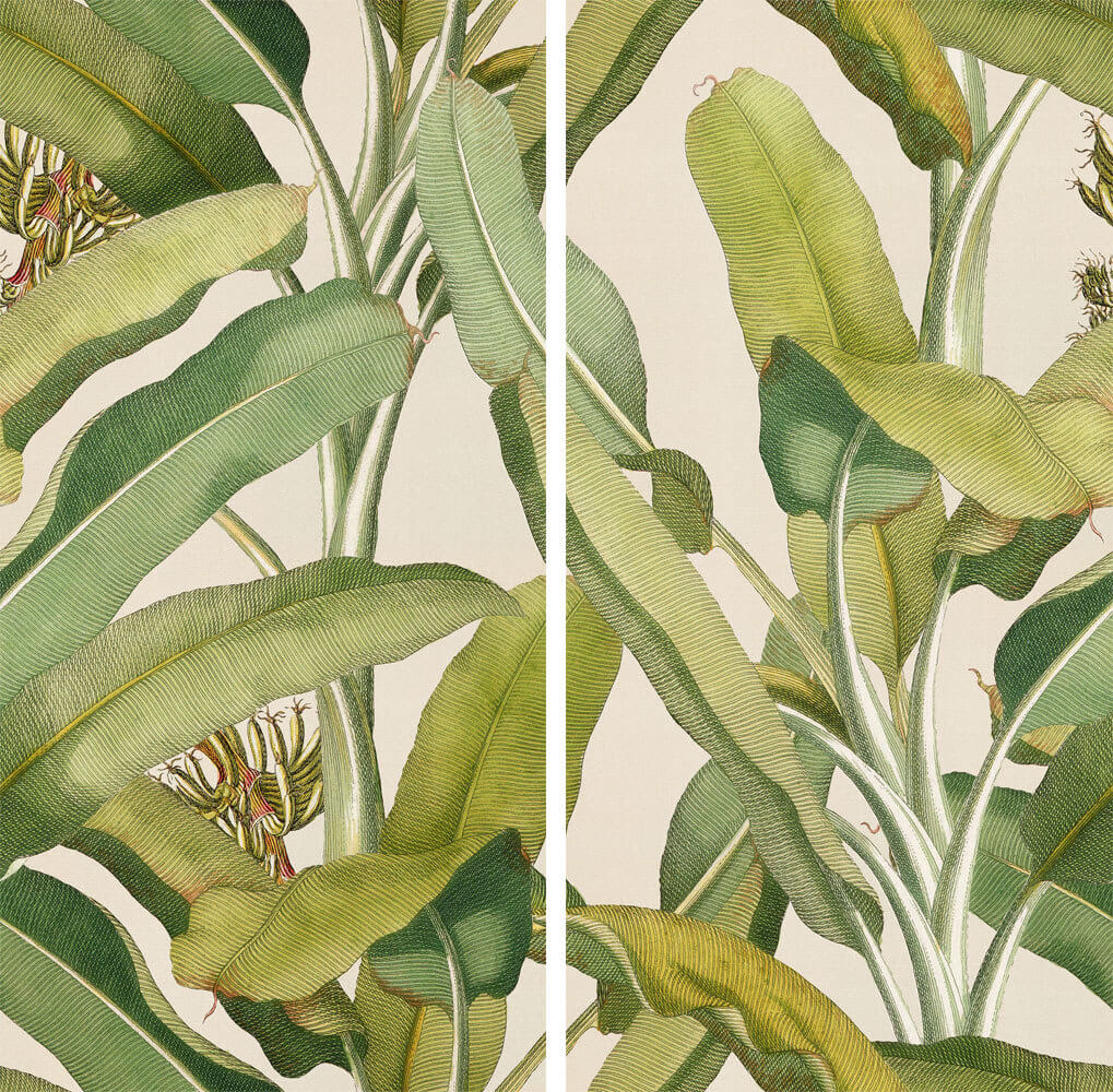 Керамогранит 41zero42 Paper41 Pro Musa, 50x100, под фотообои, зелёный, матовый