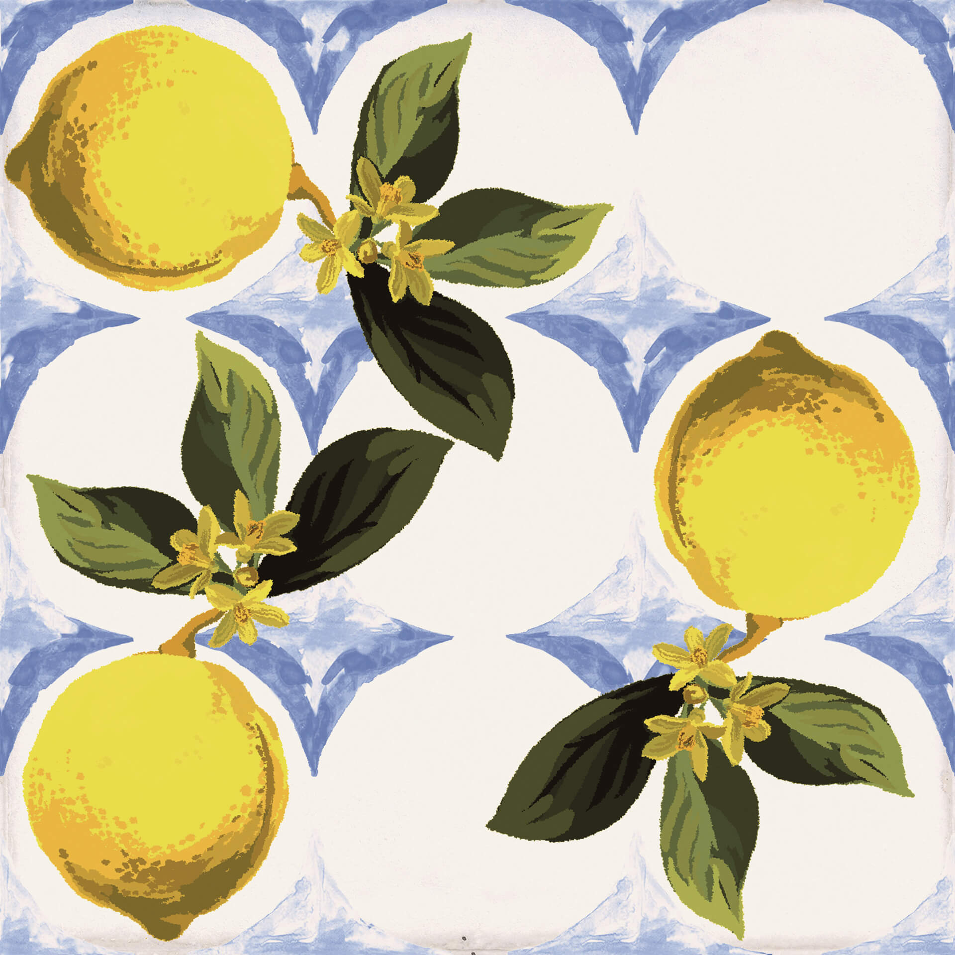 Керамогранит Sant'Agostino Vita Giardino Bianco Luc, 20x20, под майолику, мультиколор, полированный