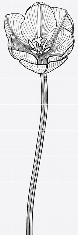 Декор Bardelli Tuli-charme 2, 60x180, с рисунком, чёрный, глянцевый