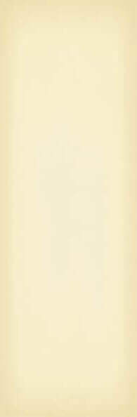 Настенная плитка Iris Slide Sand, 20x60, моноколор, бежевая, глянцевая