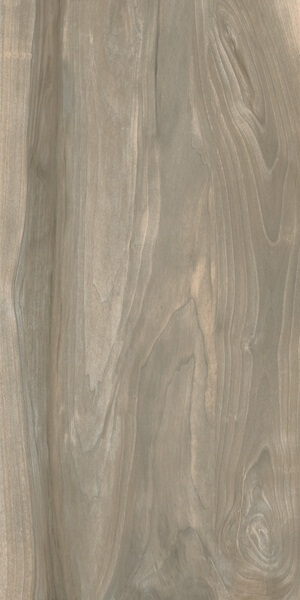Керамогранит Vallelunga Tabula Cenere, 45x90, под дерево, серый, матовый