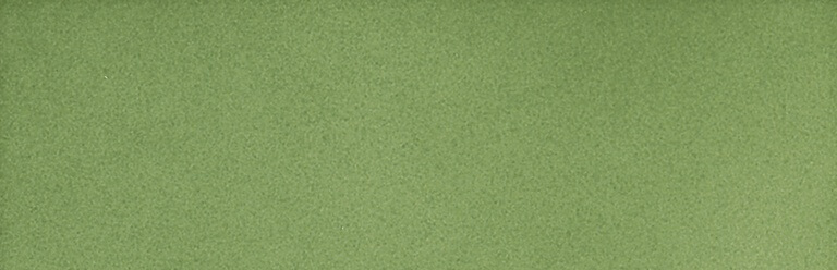 Настенная плитка Bardelli Color&Color C&C C8, 2.5x40, моноколор, зелёная, глянцевая