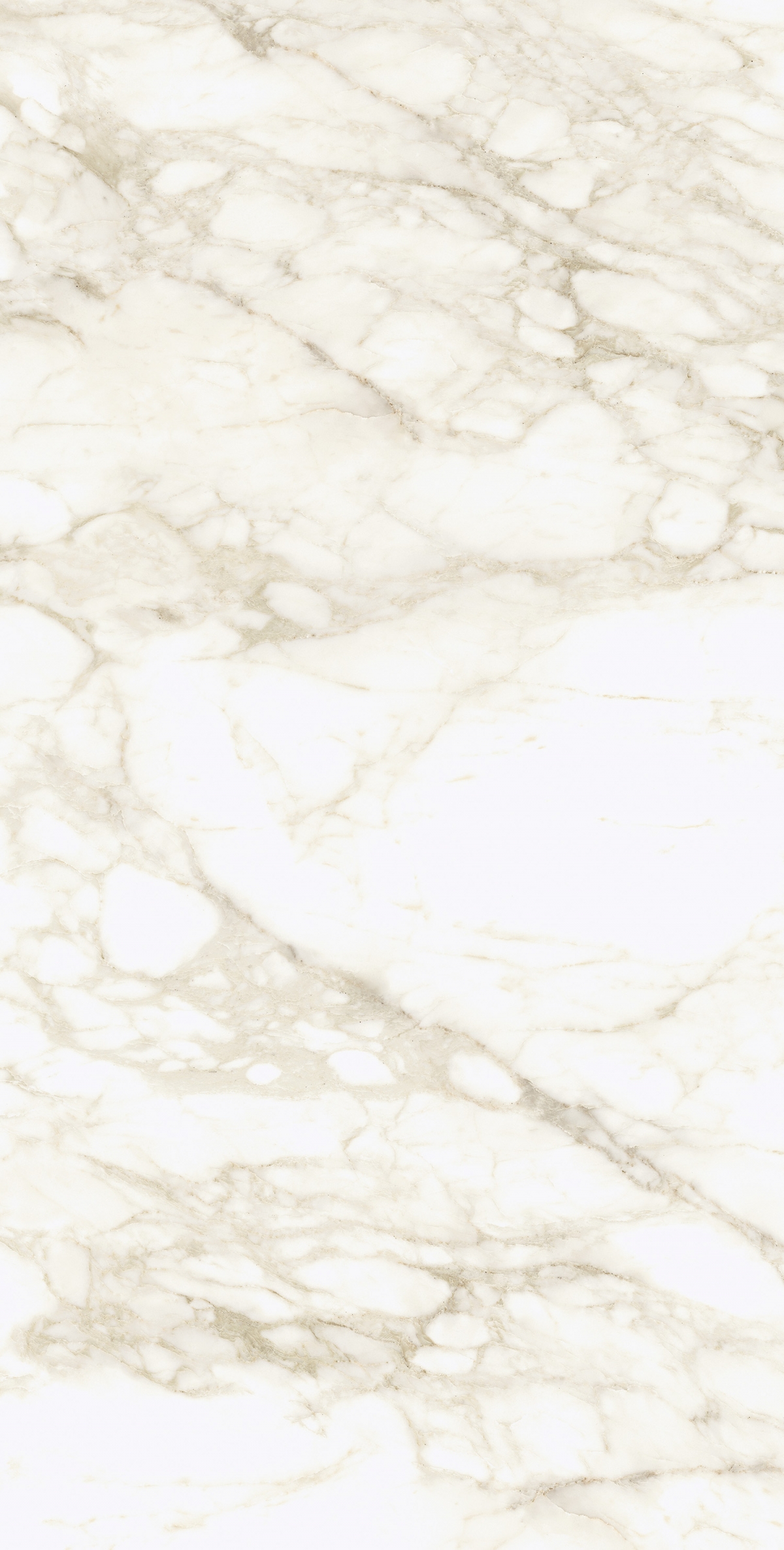 Керамогранит Coliseum Gres Michelangelo Ворм Рет, 60x120, под мрамор, белый, матовый