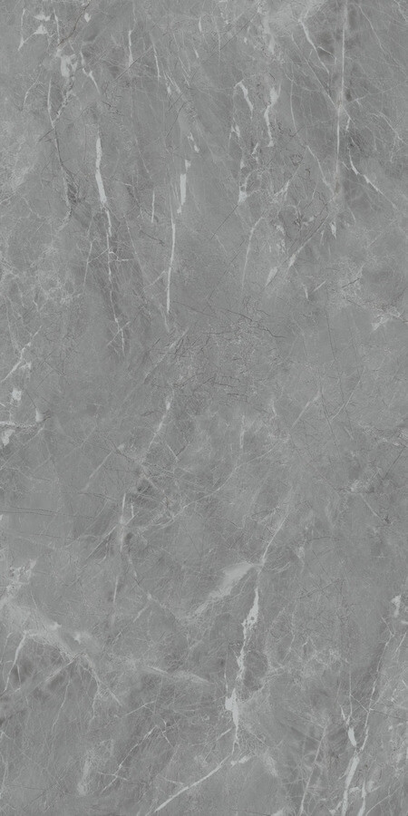 Керамогранит Neodom Belvedere Eva Gris Polished, 60x120, под камень, серый, полированный