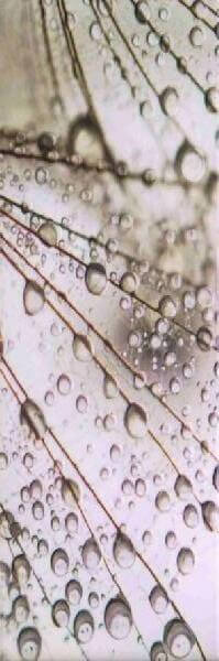 Декор Ceramika Color Luna Bis A, 25x75, под обои, мультиколор, глянцевый