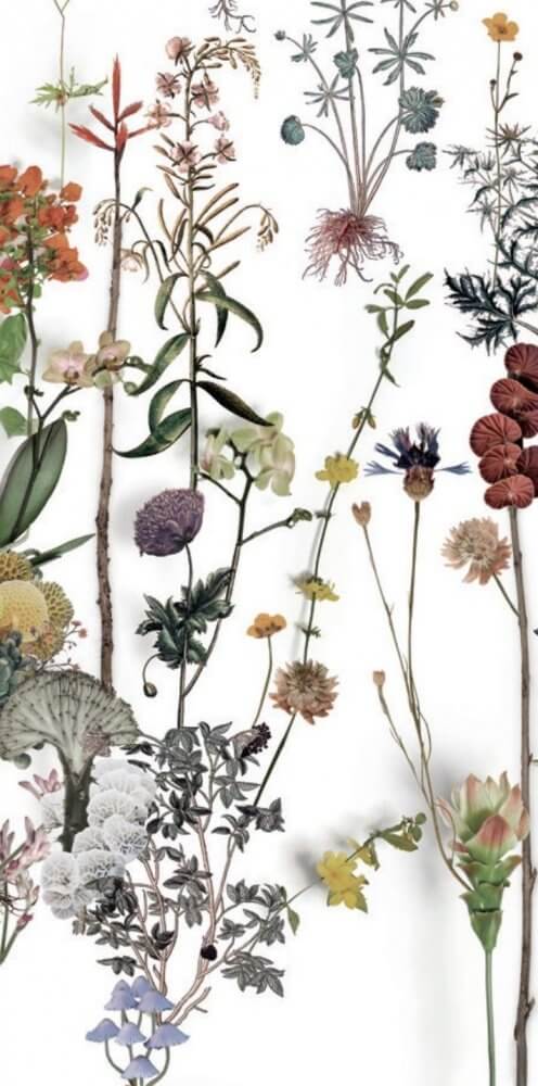 Керамогранит 41zero42 Paper41 Lux Franz, 60x120, флора, мультиколор, глянцевый