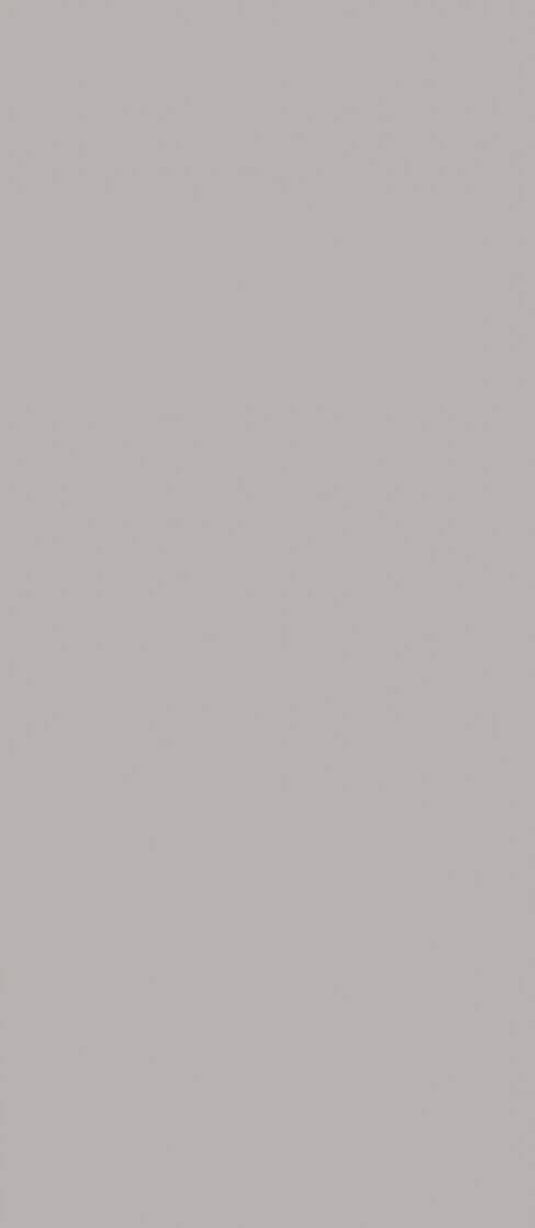 Настенная плитка Rako Concept WAAMB110, 20x40, моноколор, серая, матовая