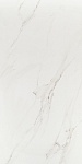 Керамогранит Polo Gres 60x120 Polo Carara, 60x120, под мрамор, белый, полированный-3