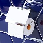 Держатель для туалетной бумаги Am.Pm X-Joy A84341400-4